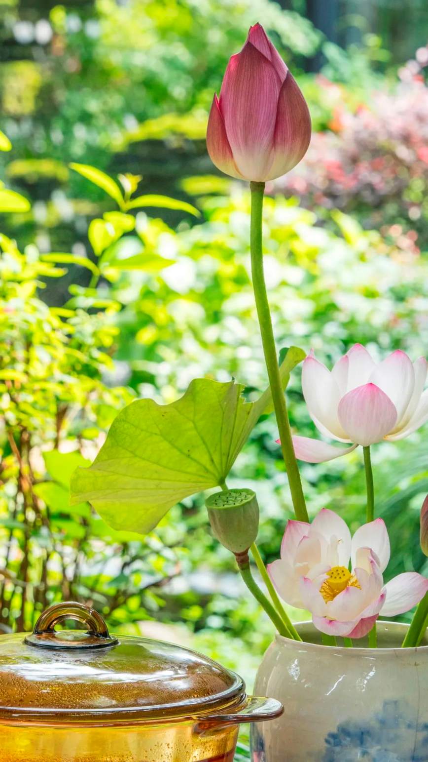 640 (26)_副本(ben).jpg